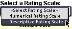 Image of the rating scale drop down menu listing: Numerical Rating Scale or Descriptive Rating Scale.