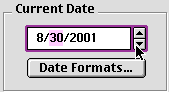 Current Date section showing 8/30/2001 with Date Formats...