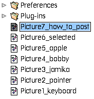 shows list of folders with their icons and a list of picture files with their associated names and icons.  One of the picture file names is highlighted, showing that it is allowed to be renamed.