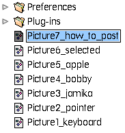 shows list of folders with their icons and a list of picture files with their associated names and icons. One of the picture file names is highlighted, showing that it is allowed to be renamed.