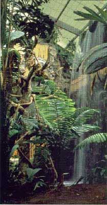 indoor waterfall and tropical plants